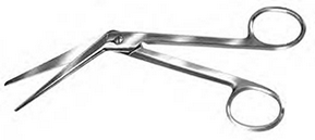 Nasal (ENT)