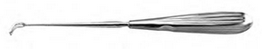 Adenoid (ENT)
