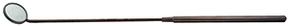 Laryngeal