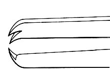 Sauer Suturing Forceps - E1830